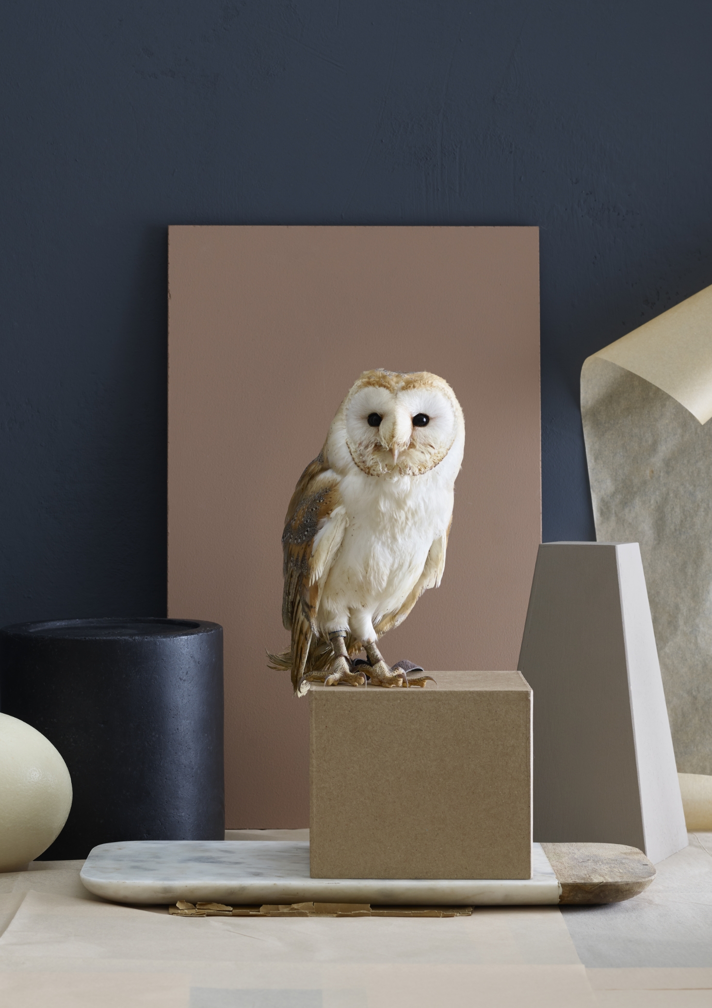 Marketing West-Vlaanderen