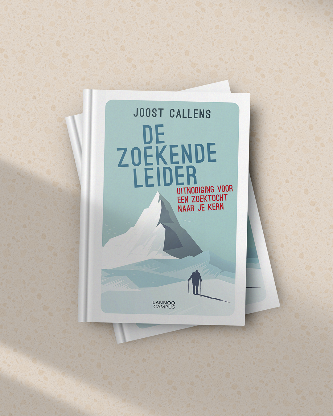 durabrik: joost callens