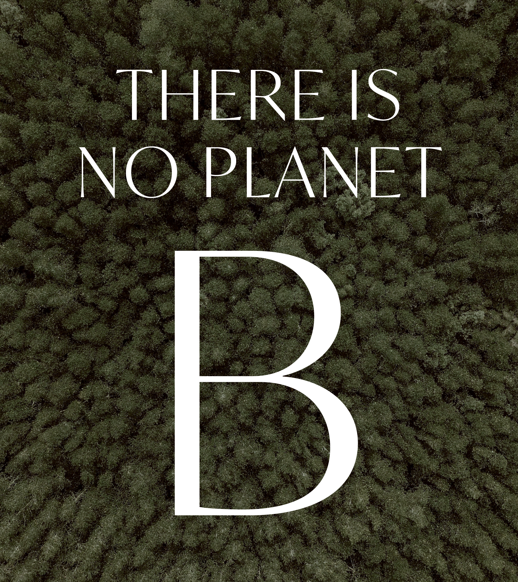 plug branding agency: </br>bert bartsoen