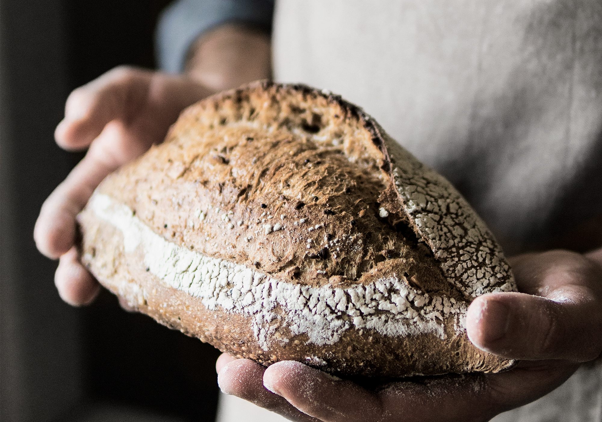 Dossche Mills Rocketdeals