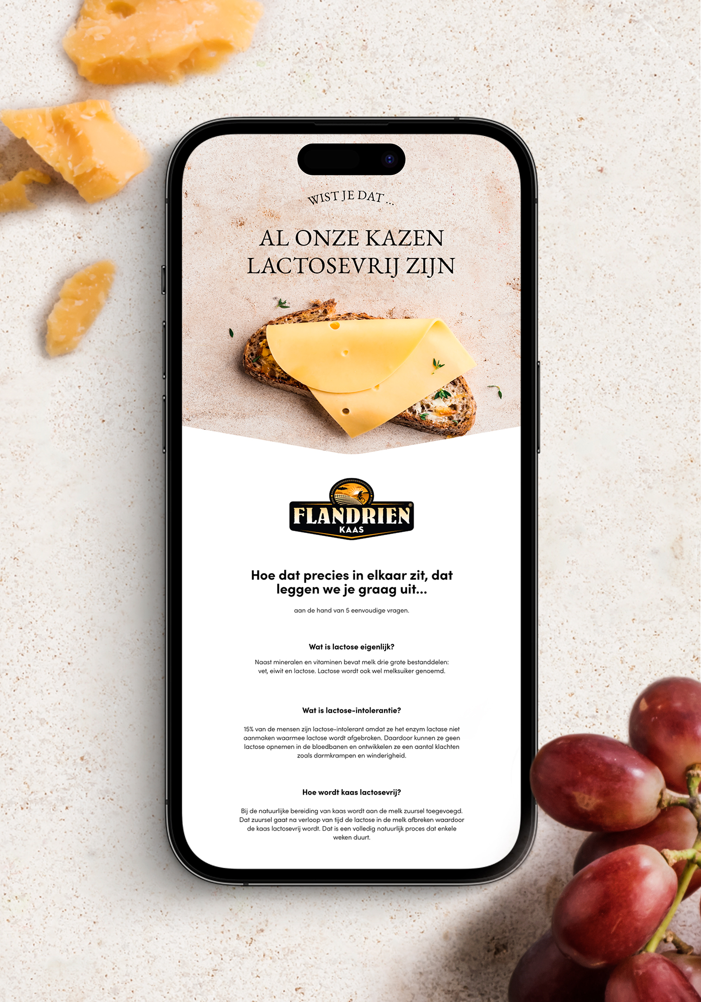 Flandrien - Lactose