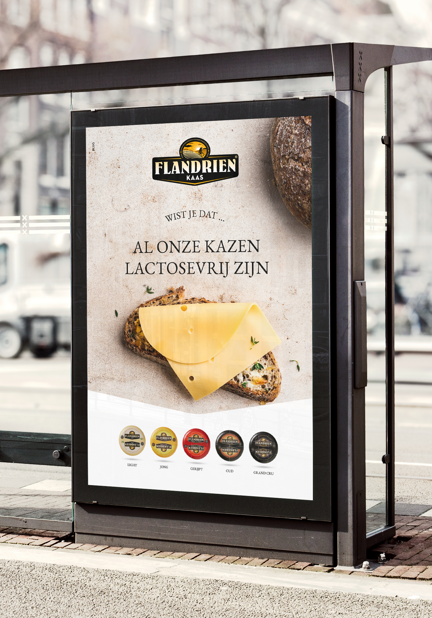Flandrien - Lactose
