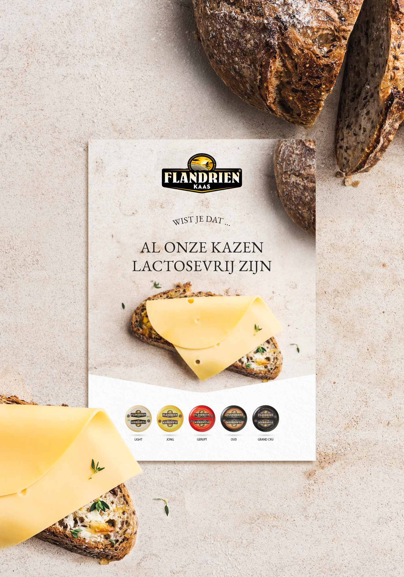 Flandrien - Lactose